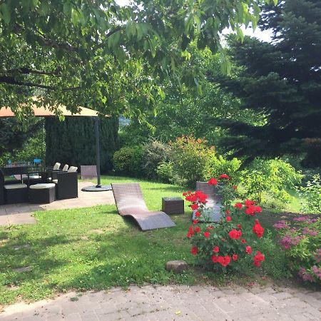 Gite Le Vieux Ruisseau Sauna Et Massages Lapoutroie Eksteriør bilde