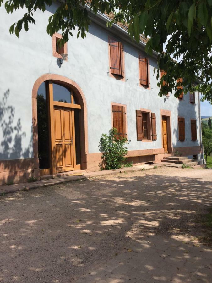 Gite Le Vieux Ruisseau Sauna Et Massages Lapoutroie Eksteriør bilde